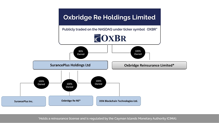 The 2026 Crypto Reinsurance Renaissance: How AI-Driven Parametric Models Are Redefining Risk Mitigation