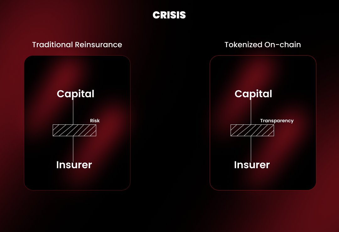 Reinsurance capital blockchain investors