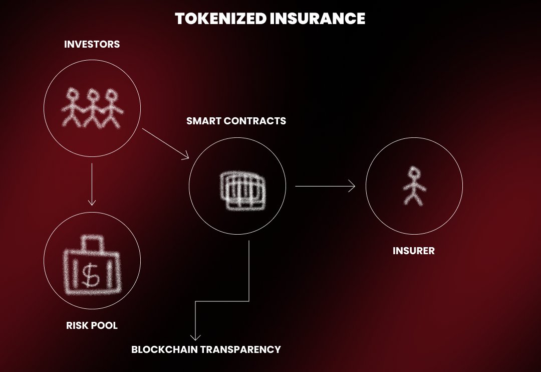 Blockchain-based reinsurance pool illustration showing transparent collateral flows with smart contracts and tokenized assets